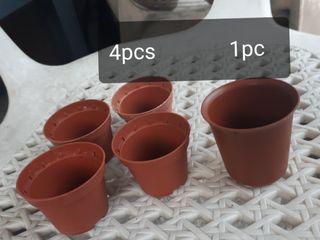 Plastic mini pots for succulents