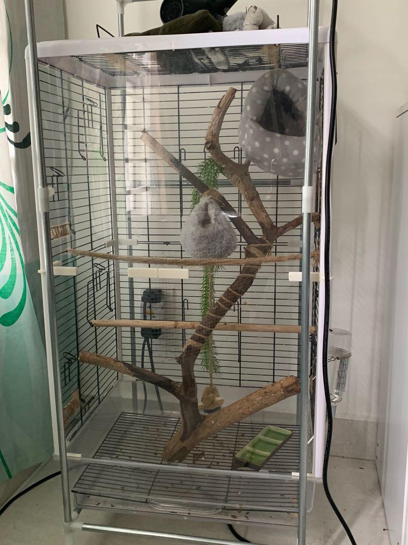 Sangkar sugar glider , burung tupai (Pre-order) (new), Pet Supplies, Homes  & Other Pet Accessories on Carousell