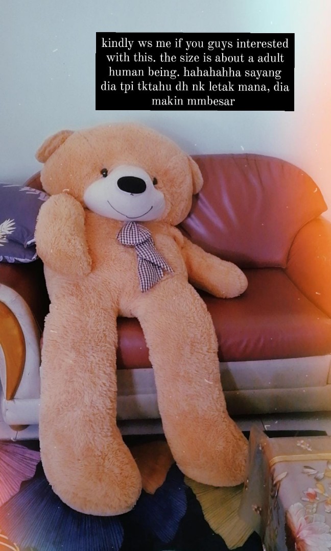TEDDY BEAR BESAR