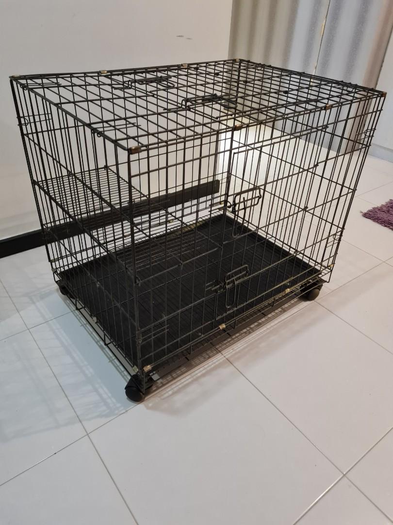 Used cat cage Clearance