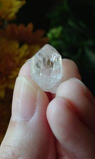 （分類：）位於 。 由 crystal_aurora 提交（商品編號 1069906259，圖片 1）。簡介： 。