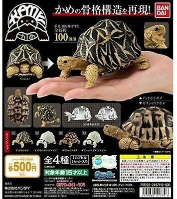 Tortoise figure online