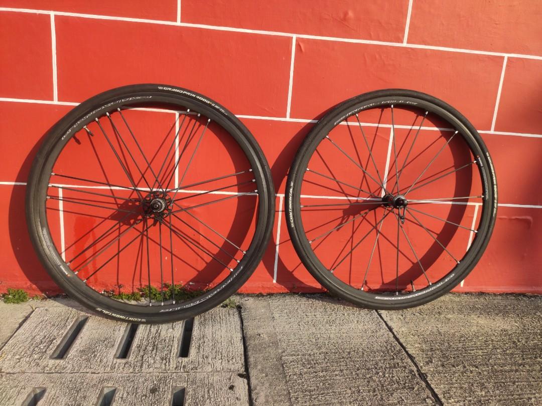 Campagnolo Shamal Mille C17 山貓, 女裝, 運動服裝- Carousell