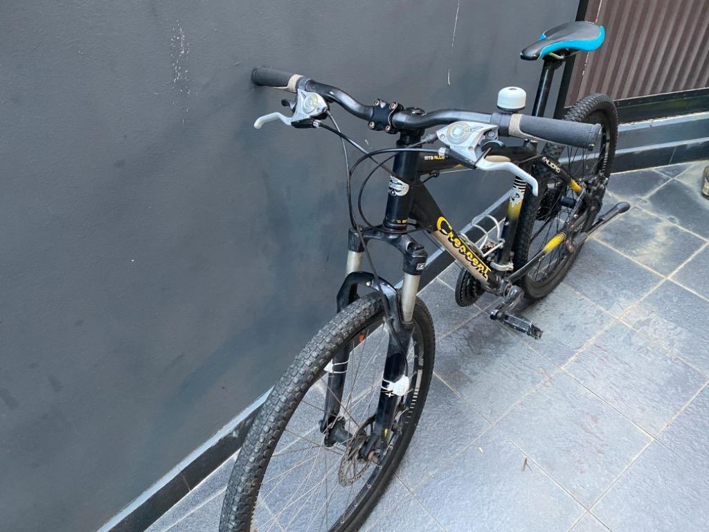 Crescent mountainbike 29 2025