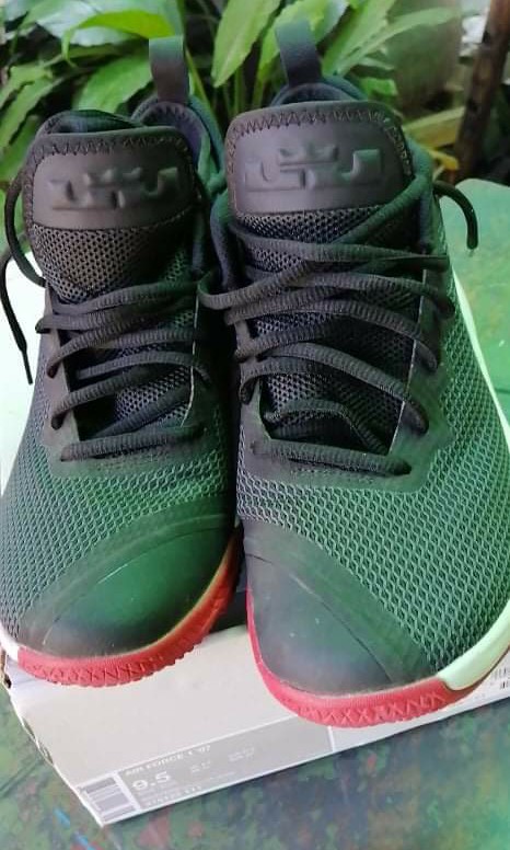 Lebron james top witness ii