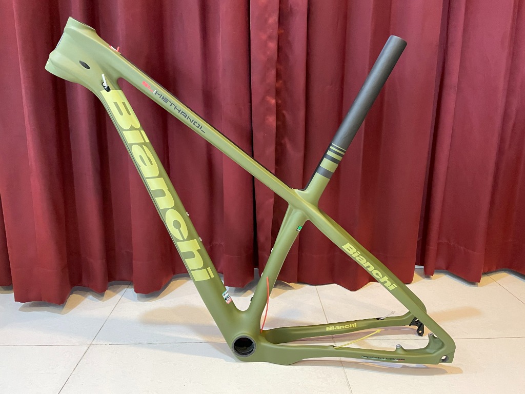 Bianchi shop methanol frame
