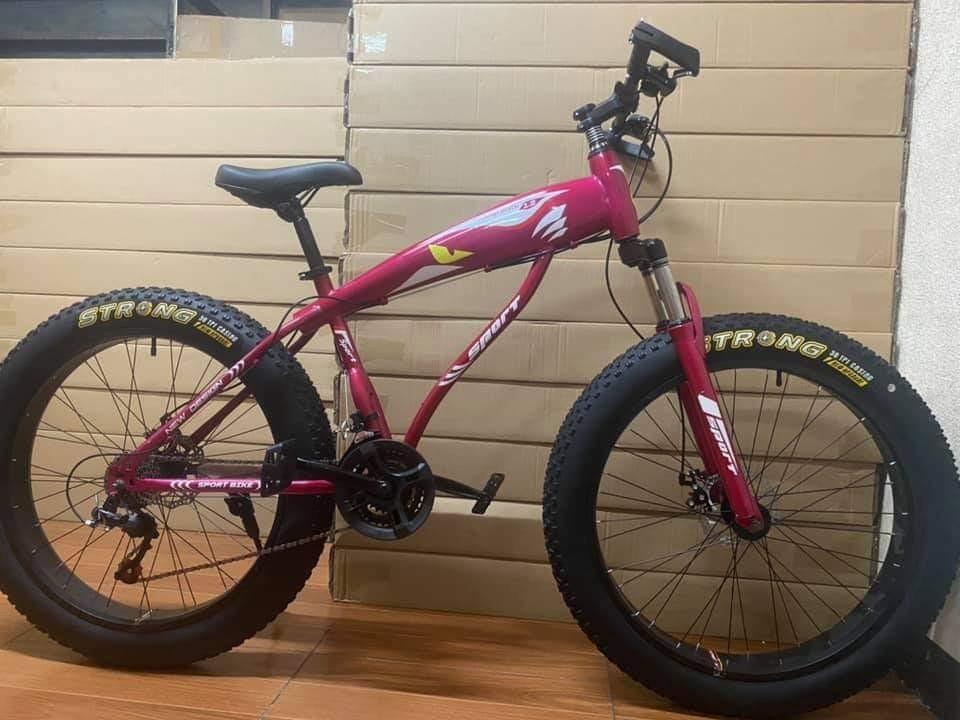 dolphin fat bike