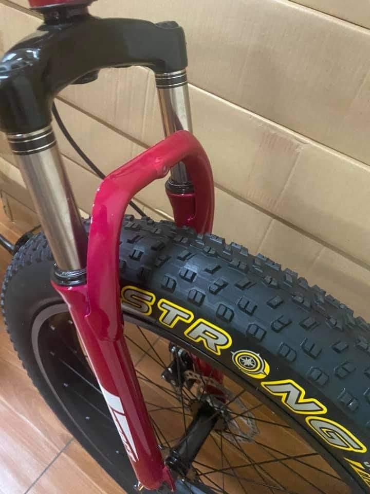 dolphin fat bike
