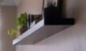 (Category: ) located in . Submitted by ping_ruste (Listing ID 1069913159, Image 1). Description: .