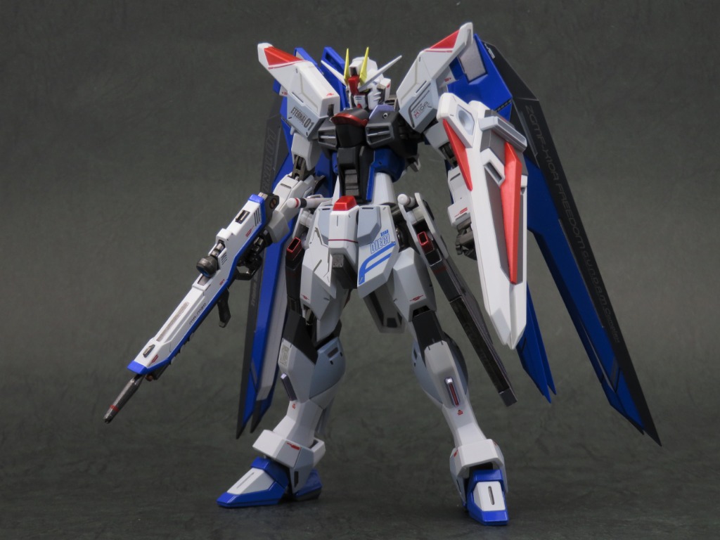 Metal Robot魂- Freedom Gundam MR 魂限SP 自由高達合金, 興趣及遊戲