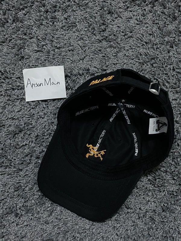 全商品セール Palace arcteryx 6 panel | www.happychild.co