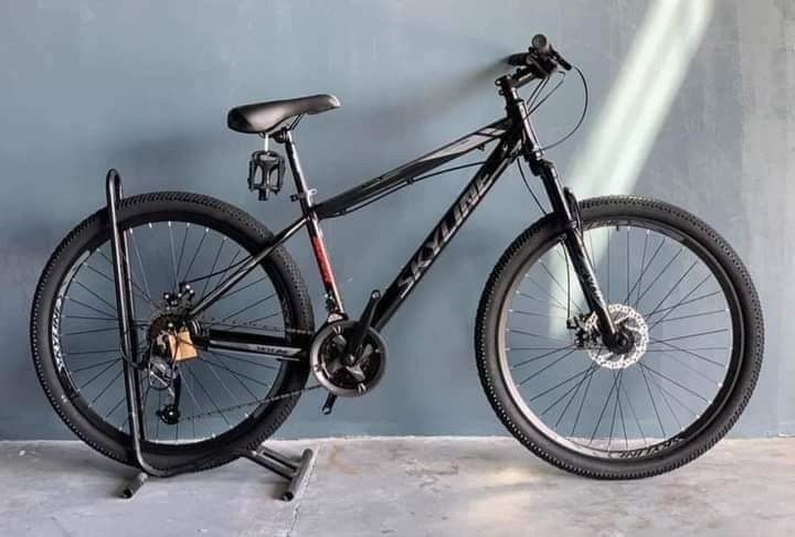 Skyline mtb 27.5 store