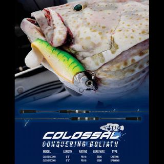 (Category: ) located in . Submitted by onefishing (Listing ID 1070124031, Image 1). Description: .