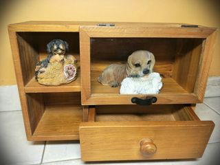(Category: ) located in . Submitted by sellking2021 (Listing ID 1070144725, Image 1). Description: .