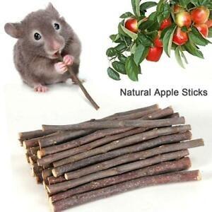 Apple wood stick for guinea pigs, hamster n other small pets, Pet 