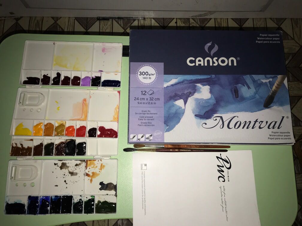 Artist Grade Watercolor Painting Set!!!(Orig PWC Shinhan Watercolor