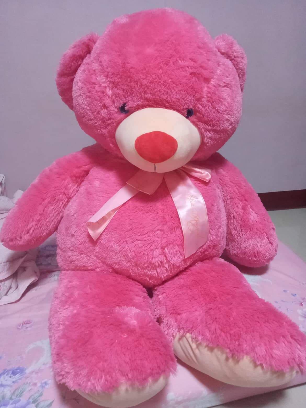 Blue Magic Casey Lifesize Bear Pink Hobbies Toys Toys Games On Carousell Blue Magic Casey Lifesize Bear Pink Hobbies Toys Toys Games On Carousell
