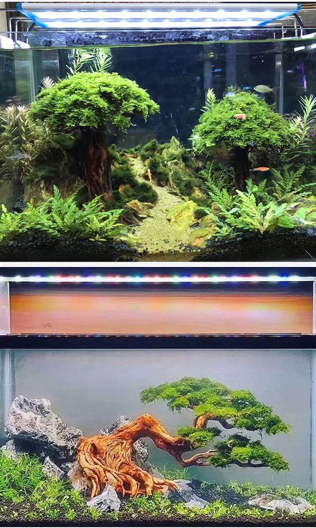 Bonsai tree aquarium scape service customisation, Furniture & Home