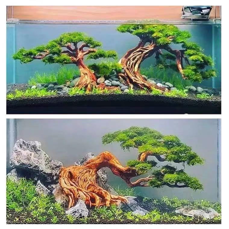 Bonsai tree aquarium scape service customisation, Furniture & Home