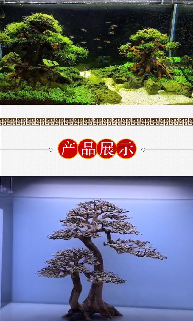 Bonsai tree aquarium scape service customisation, Furniture & Home