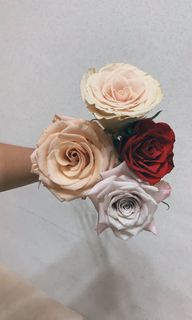 (Category: ) located in . Submitted by thegiftfloratory (Listing ID 1070396087, Image 1). Description: .