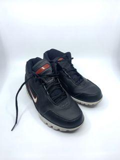 Lebron Nike Air Zoom