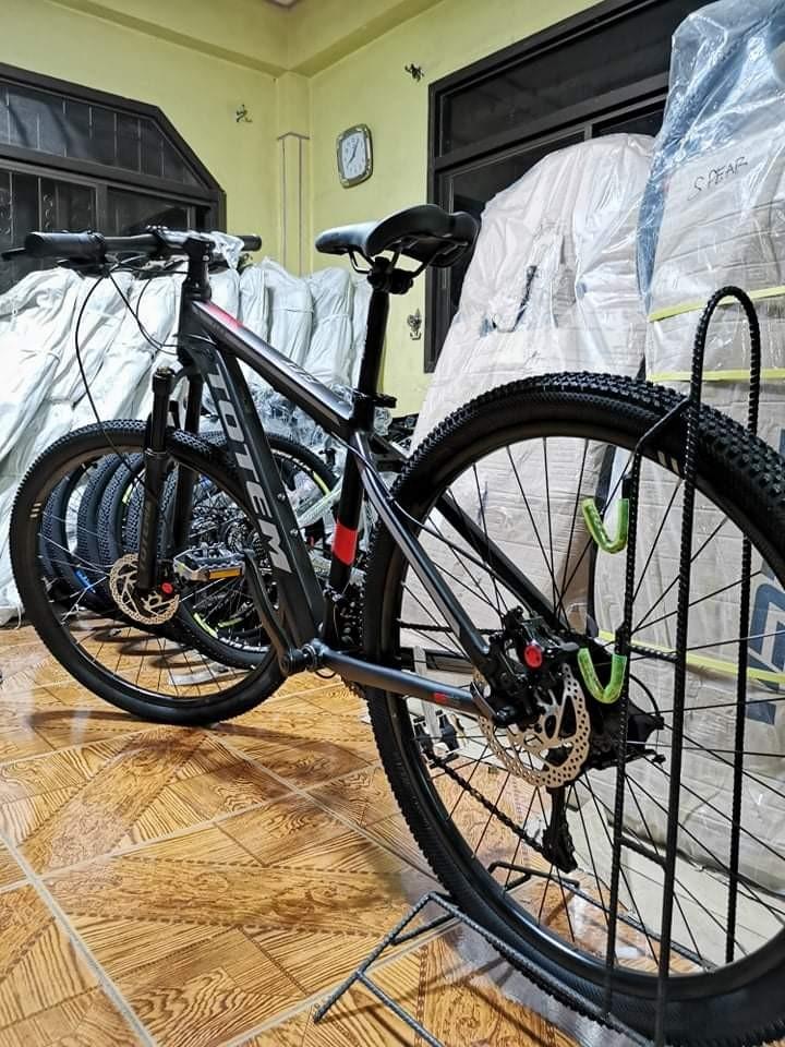 totem flex mtb