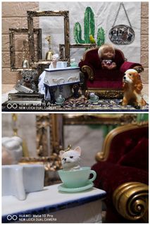 (Category: ) located in . Submitted by worldfinecollection (Listing ID 1066942219, Image 1). Description: .