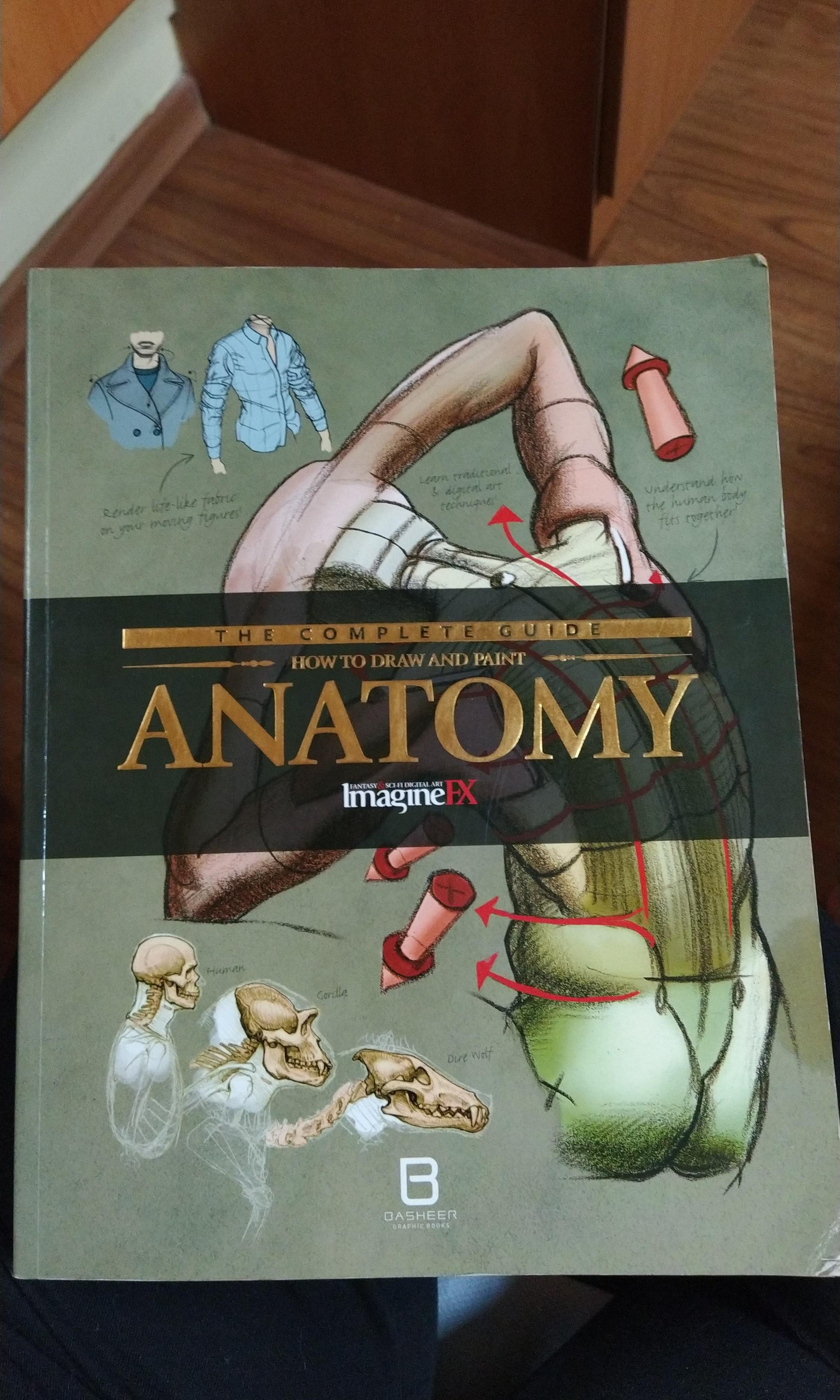 How To Draw And Paint Anatomy (ImagineFX), Hobbies & Toys, Stationery