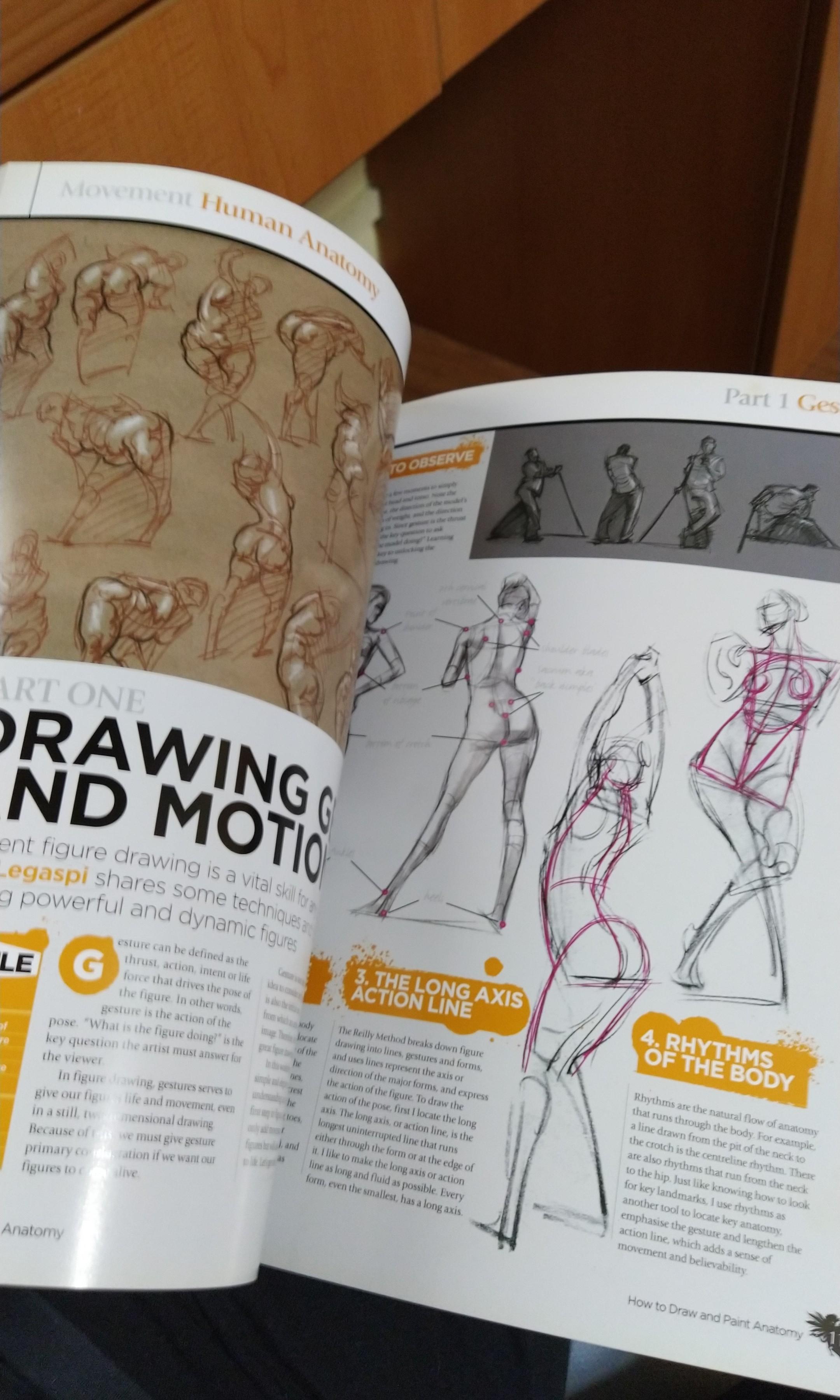 How To Draw And Paint Anatomy (ImagineFX), Hobbies & Toys, Stationery