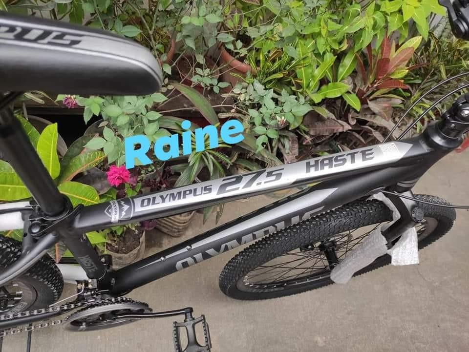 olympus sport tornado spin bike