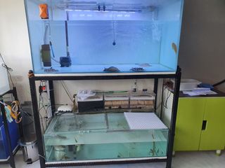 (Category: ) located in . Submitted by arowanaman (Listing ID 1070598295, Image 1). Description: .