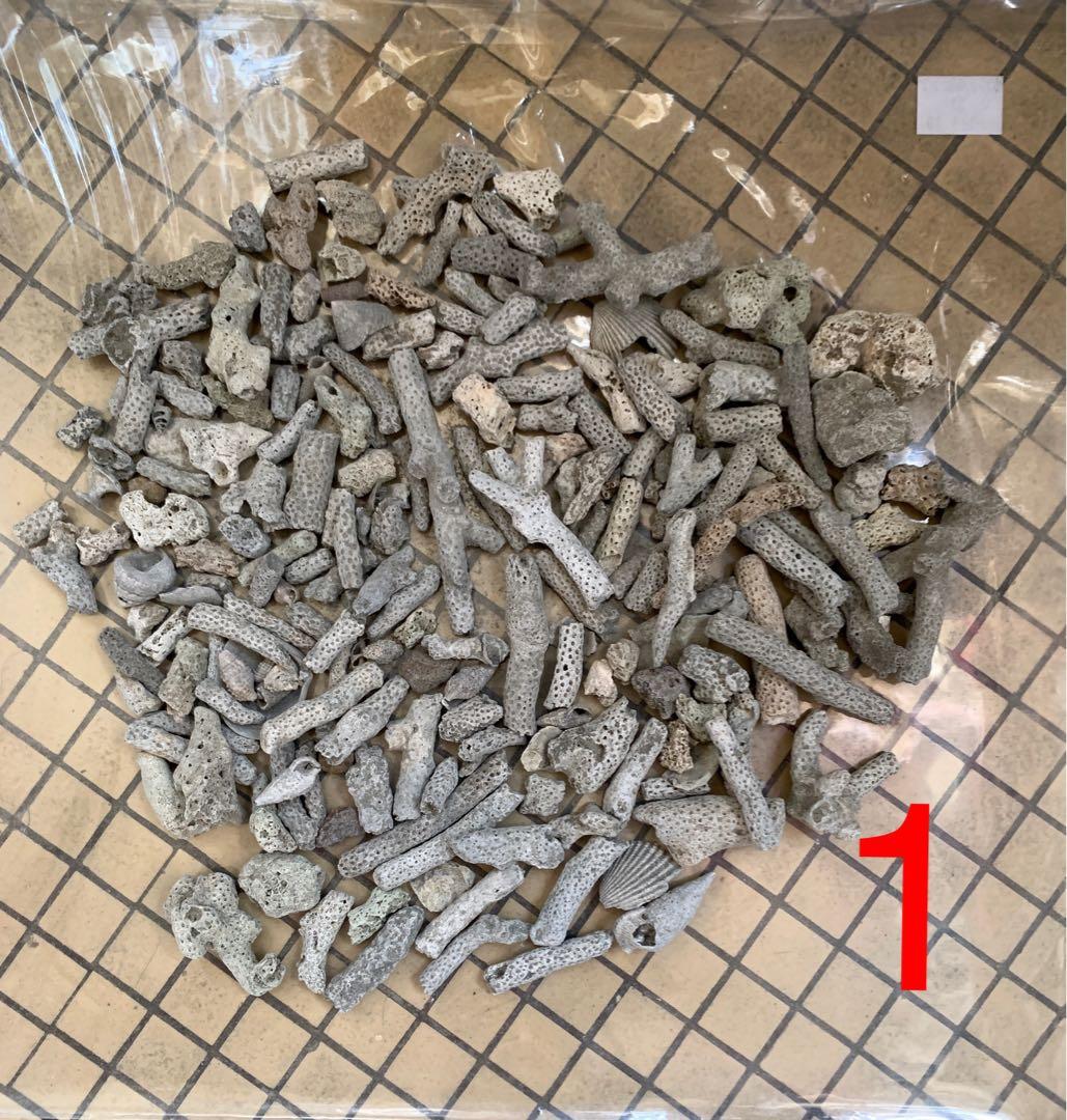 珊瑚骨兩袋仔 每袋約0 4幾kg Hk 9 一袋仔 兩袋hk 15 魚缸用品水族用品養魚用品ph值 穩定水質 造景 生化過濾 濾材