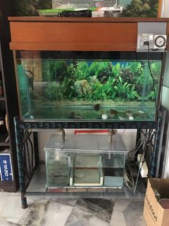 (Category: ) located in . Submitted by gchenh (Listing ID 1070591176, Image 1). Description: .