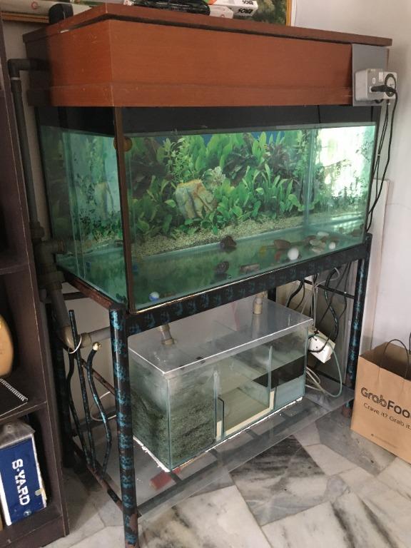 Aquarium with Water Filter Pump and Steel Frame