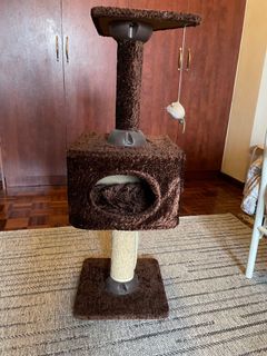 (Category: ) located in . Submitted by random_rarity (Listing ID 1070559803, Image 1). Description: .