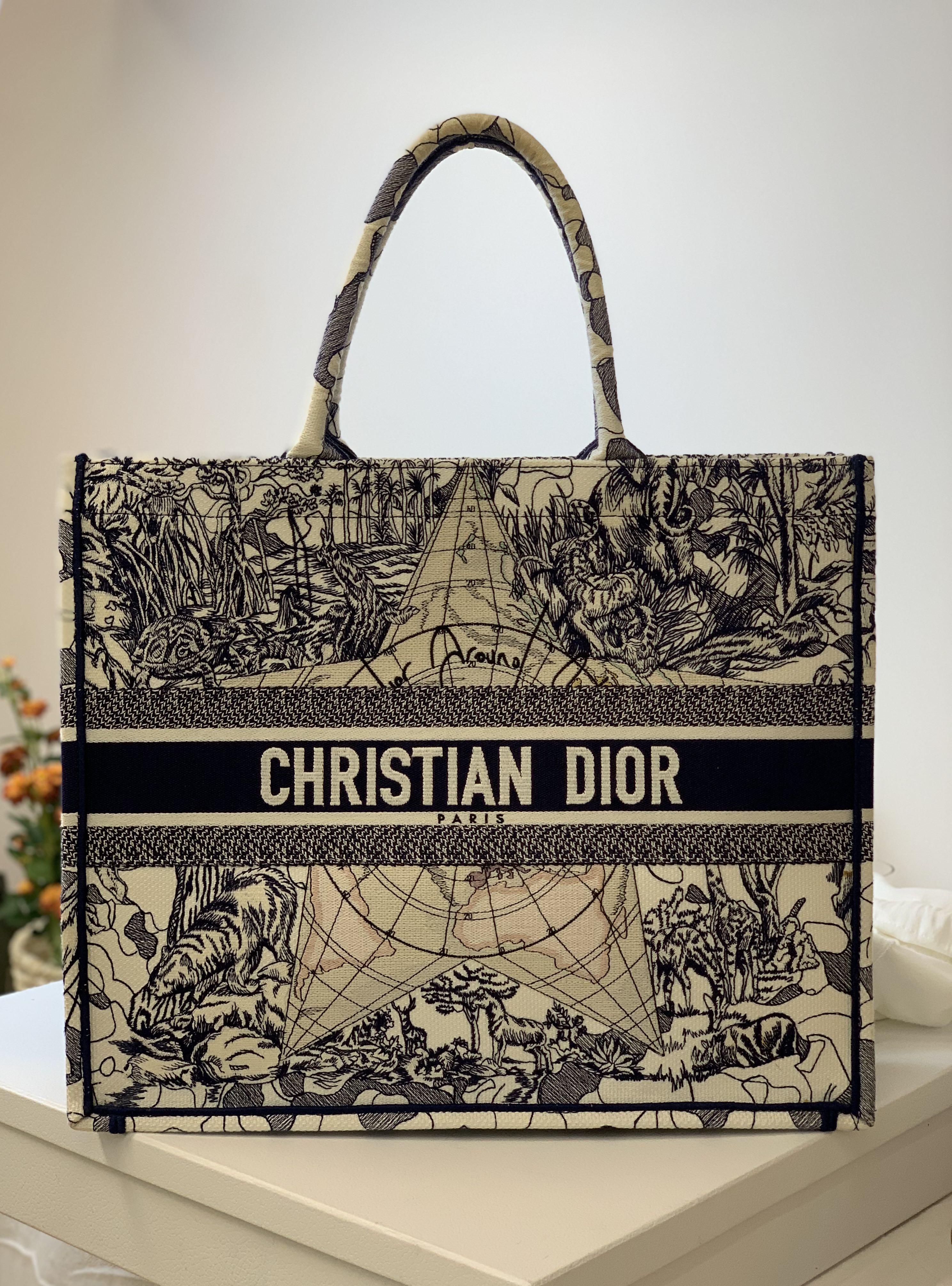 dior around the world book tote