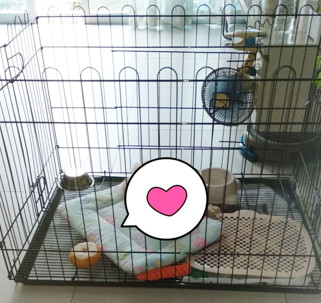 preloved dog crate