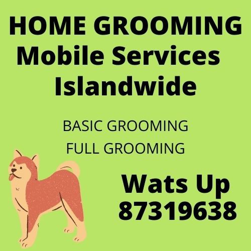 (Category: ) located in . Submitted by snipnpalm (Listing ID 1070199327, Image 1). Description: .