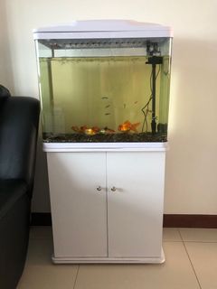 (Category: ) located in . Submitted by chrismun (Listing ID 1070486708, Image 1). Description: .
