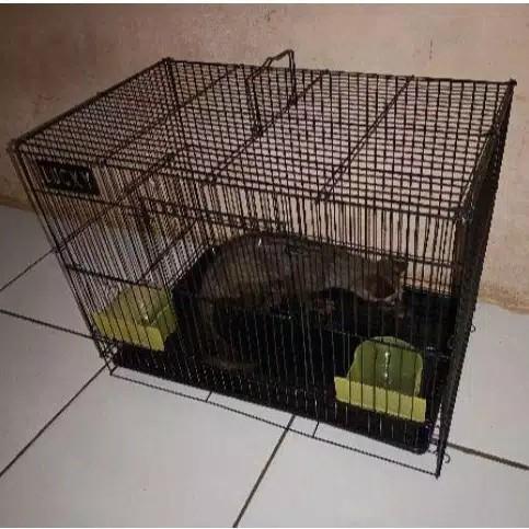 Kandang kucing New 50x31x37 (net)