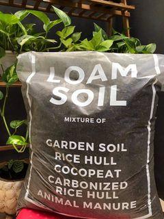 Loam Soil