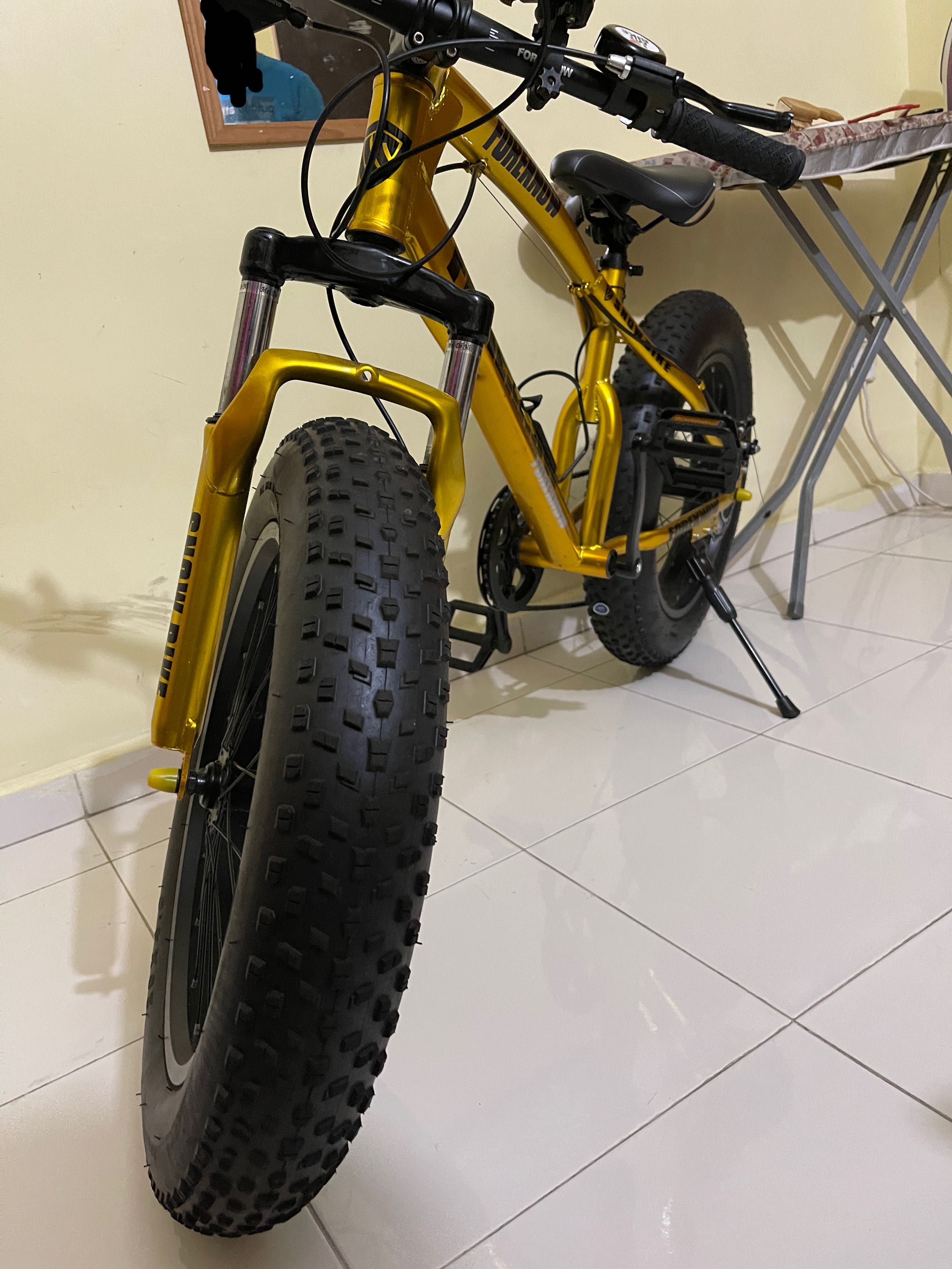 Fat bike top 20 inch