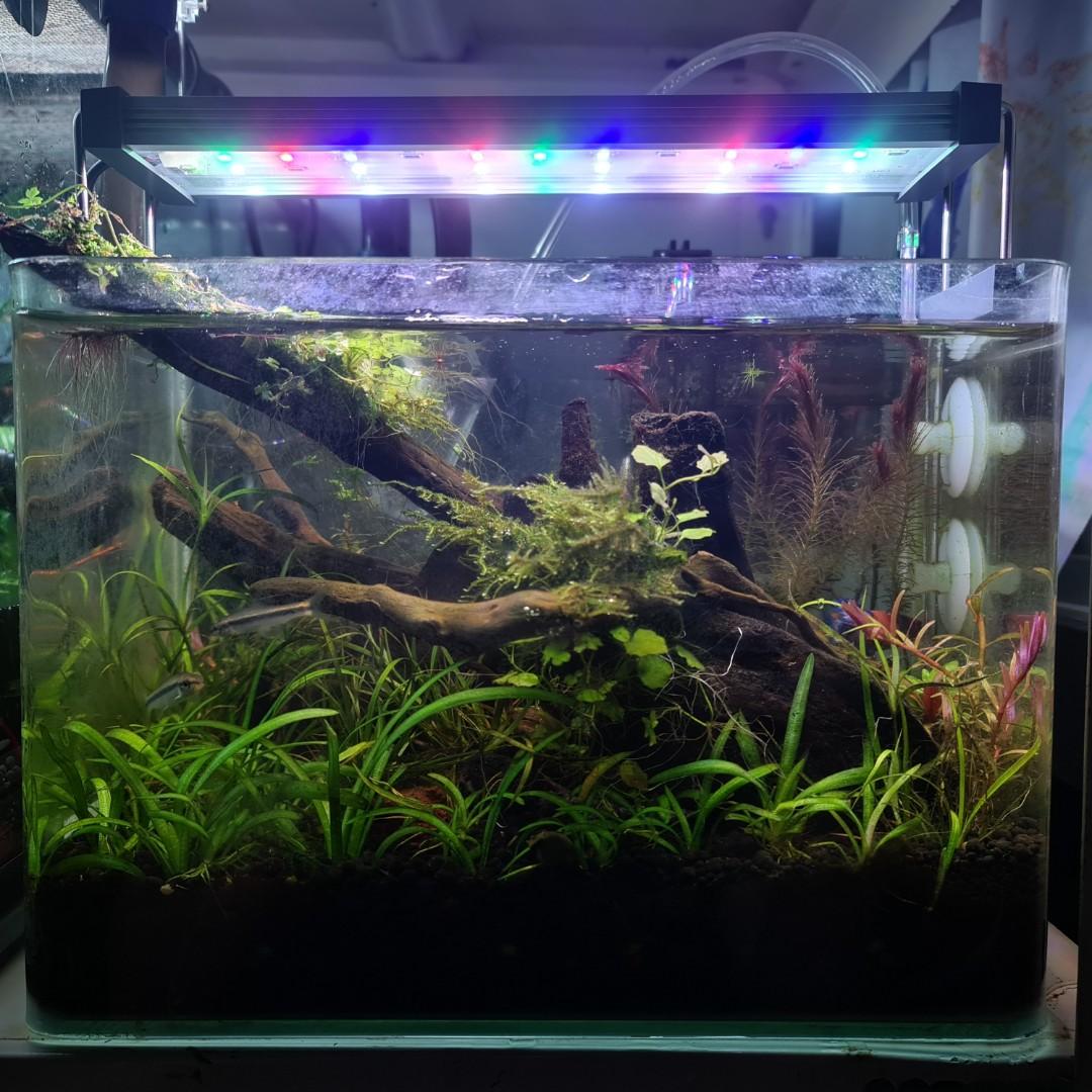 Clearance aquarium deals supplies
