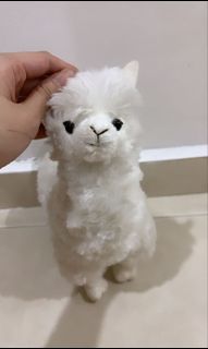 (Category: ) located in . Submitted by carousold.py (Listing ID 1070859096, Image 1). Description: .