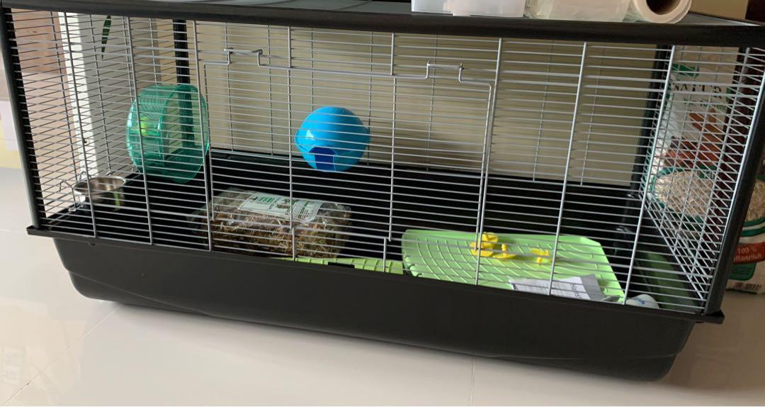 hamster plaza knock down