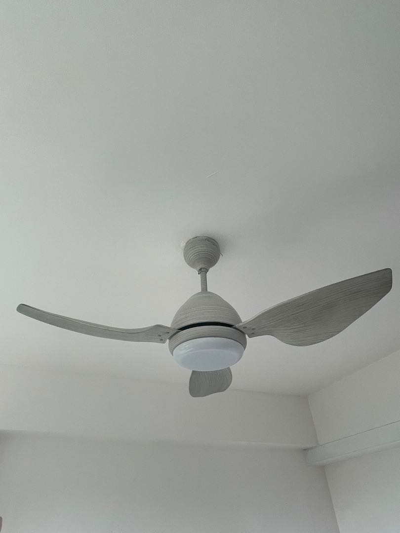 Ceiling Fan, Home Appliances, Cooling & Air Care on Carousell