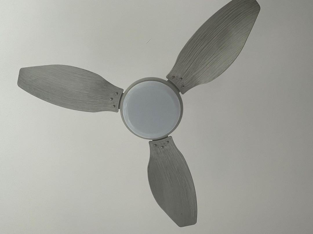 Ceiling Fan, Home Appliances, Cooling & Air Care on Carousell