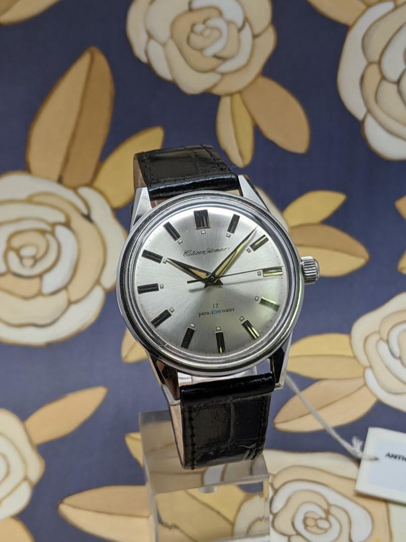 Citizen homer online date 17 jewels