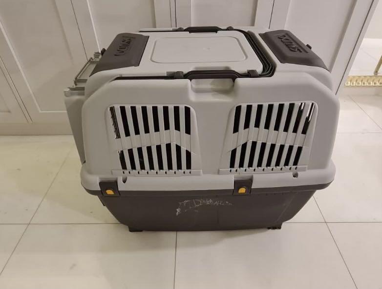 Dog Crate/Carrier Skudo 5, Pet Supplies, Homes & Other Pet Accessories